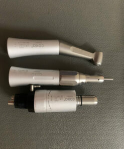 coxo cham 3 chi tiet