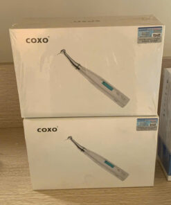 noi nha coxo co den 1