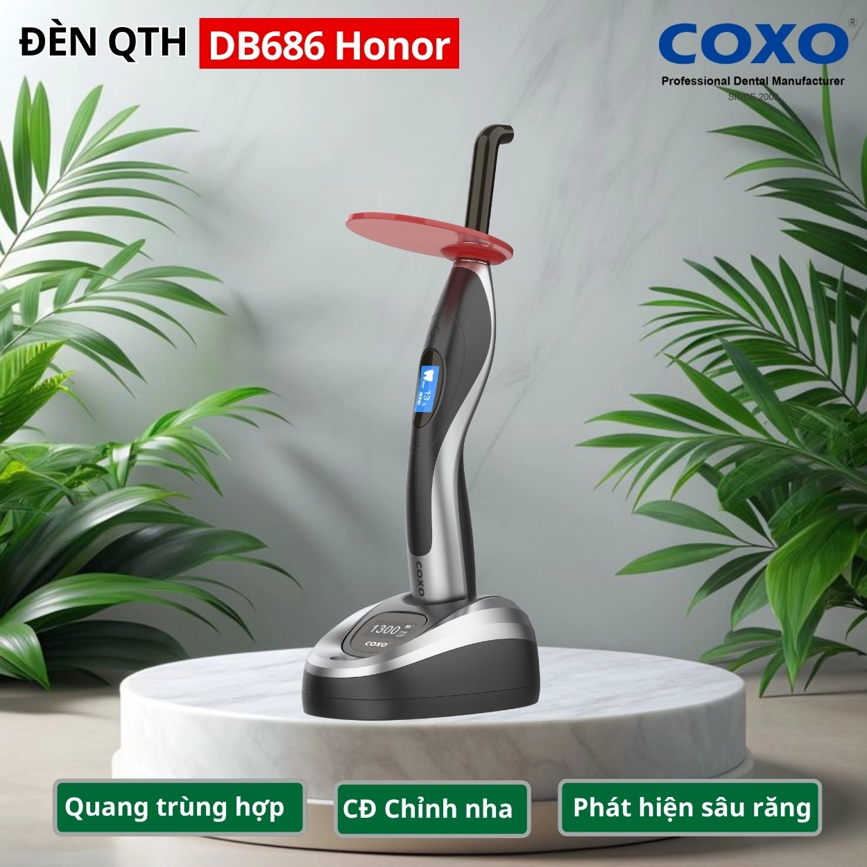 Đèn quang trùng hợp COXO DB-686 Honor