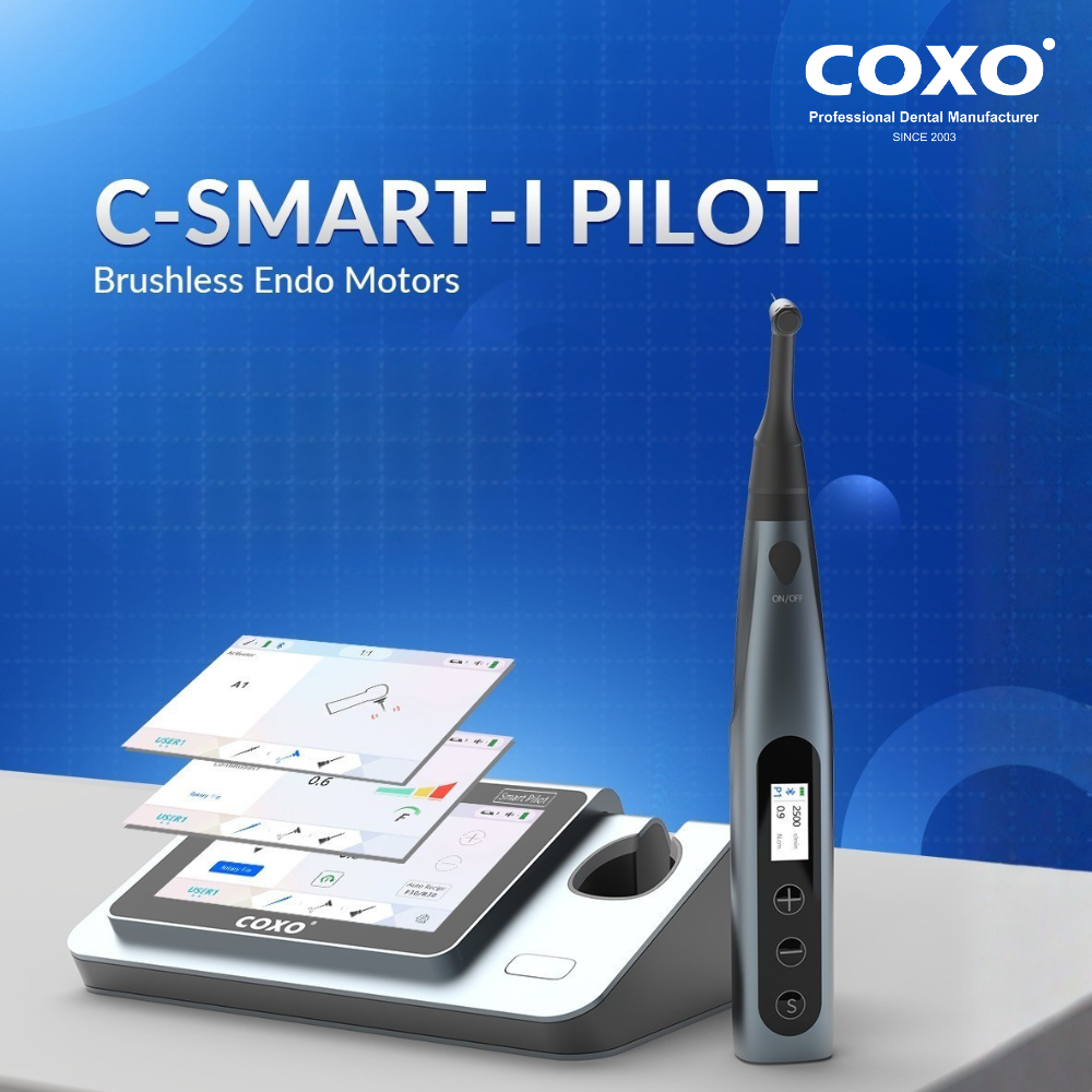 Máy nội nha COXO tích hợp định vị chóp C-Smart Pilot - Ảnh 2